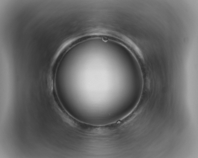 X0000112171368200908071150