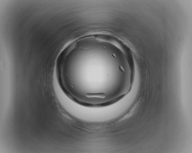 X0000112171369200908071150