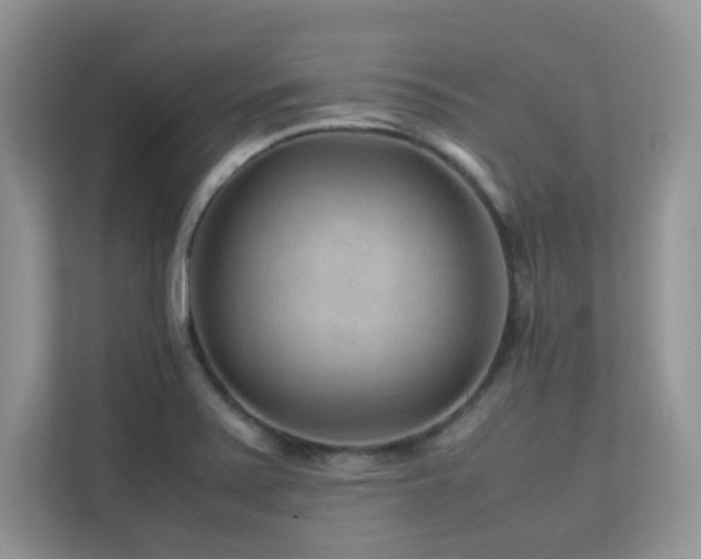 X0000112171371200908071150