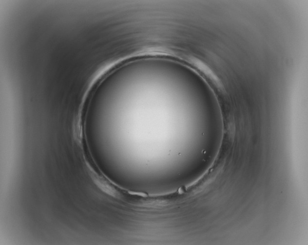 X0000112171372200908071150