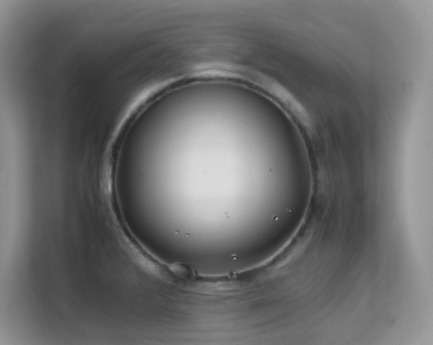 X0000112171376200908071149