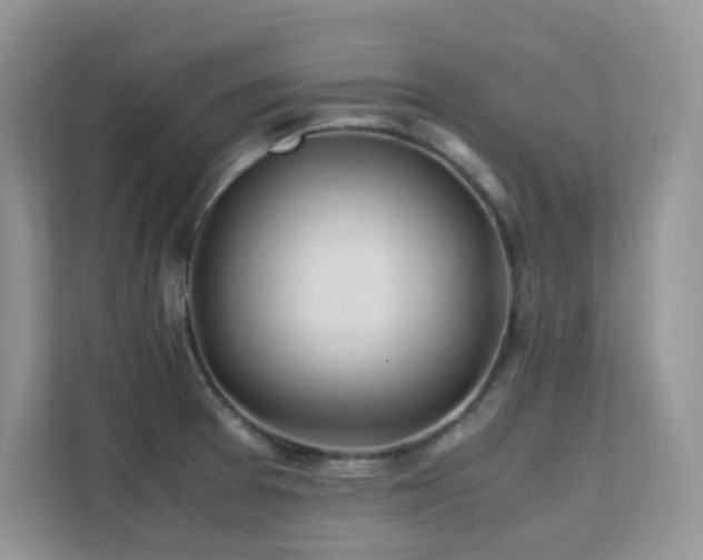 X0000112171377200908071149