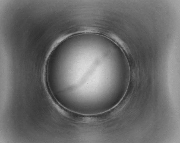 X0000112171379200908071149