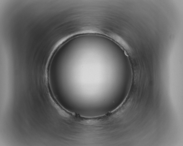 X0000112171380200908071149