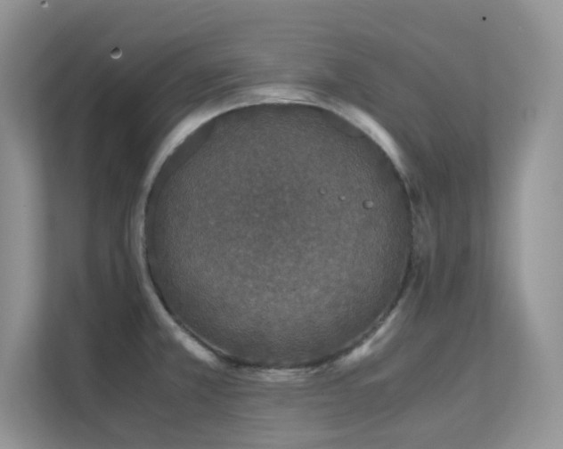 X0000112171381200908071149