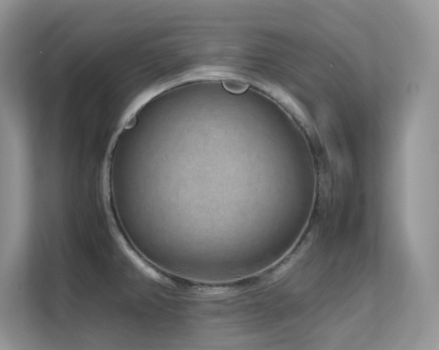 X0000112171382200908071149