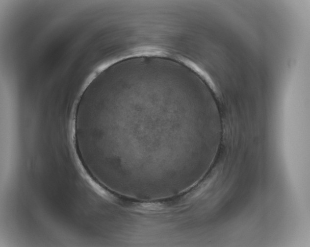 X0000112171383200908071149