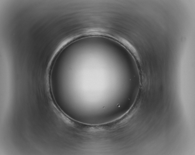 X0000112171384200908071149