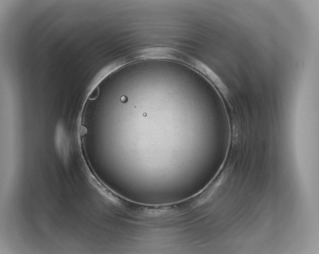 X0000112171386200908071149