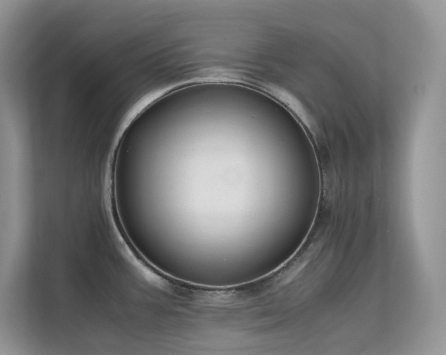 X0000112171387200908071149