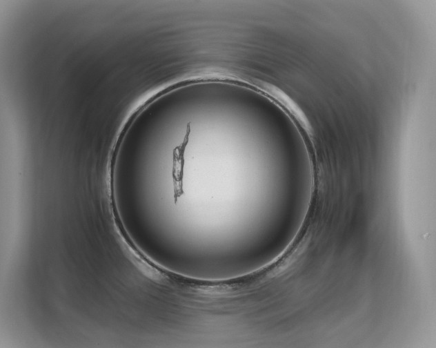 X0000112171388200908071149