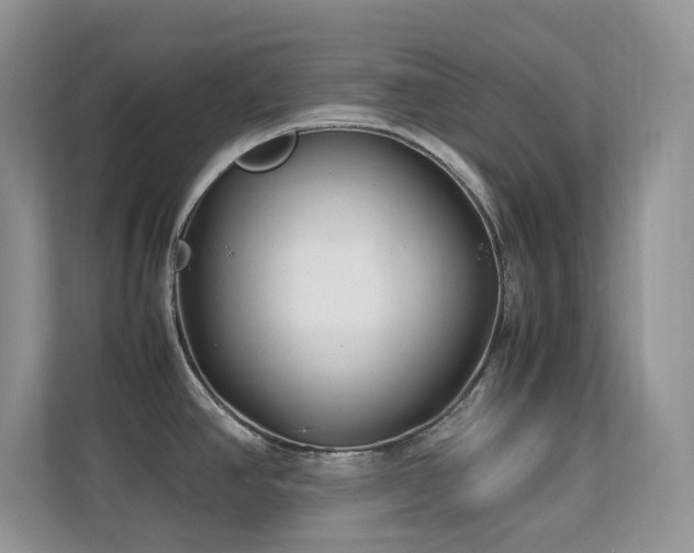 X0000112171390200908071149