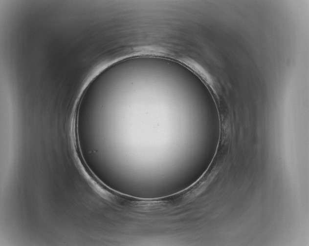 X0000112171391200908071149