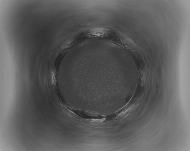 X0000112171394200908071149