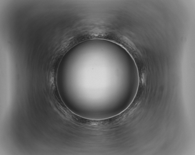 X0000112171396200908071149