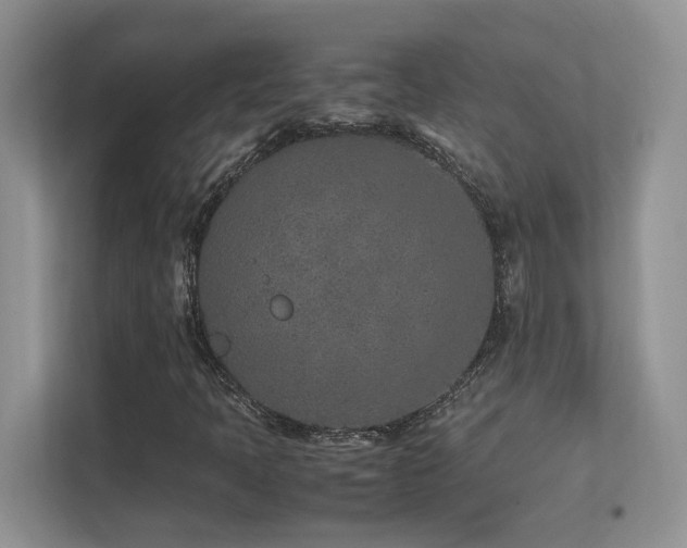 X0000112171397200908071149