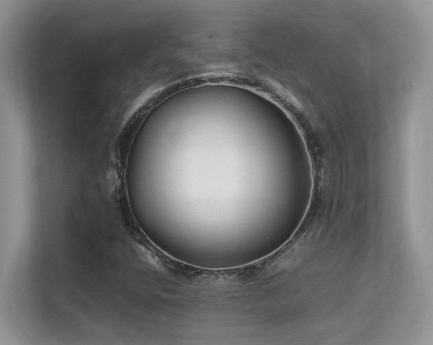 X0000112171400200908071149