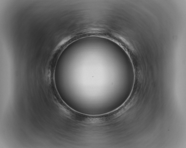 X0000112171402200908071149