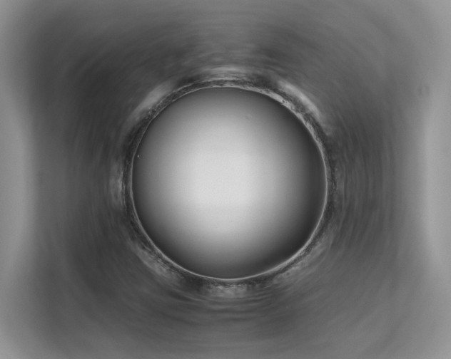 X0000112171403200908071149