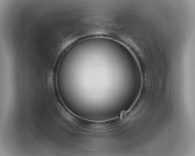 X0000112171404200908071149