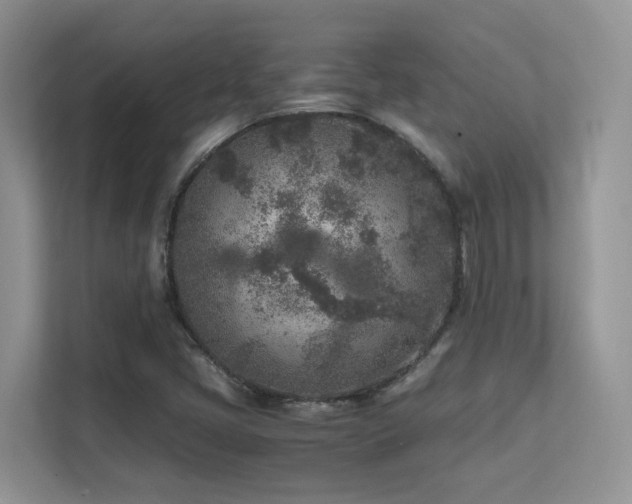 X0000112171405200908071149