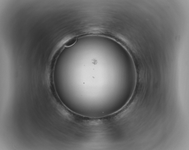 X0000112171410200908071149