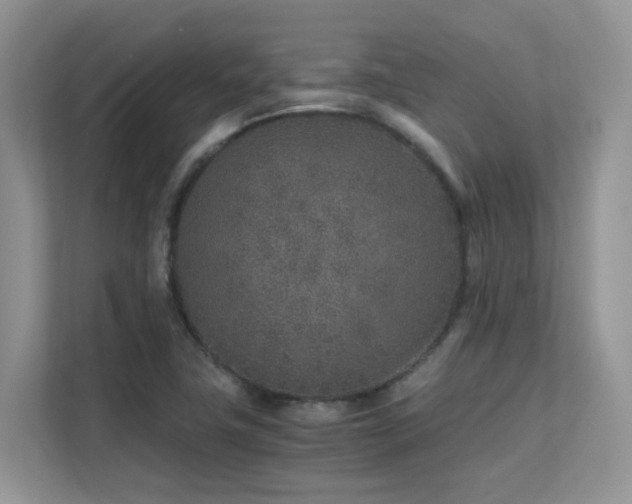 X0000112171411200908071149