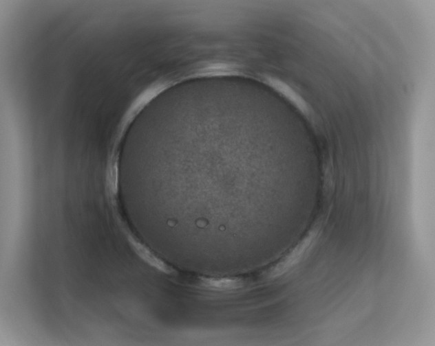 X0000112171413200908071149