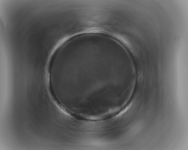 X0000112171414200908071149