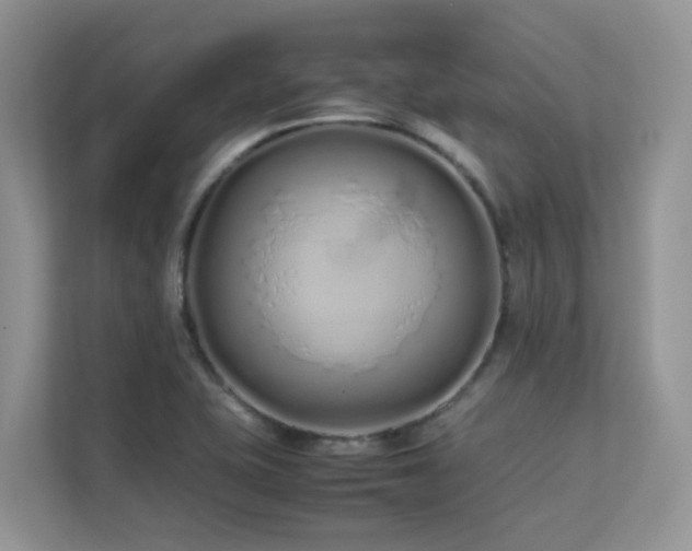 X0000112171415200908071149