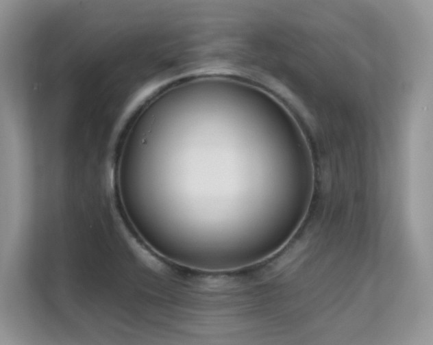 X0000112171416200908071149