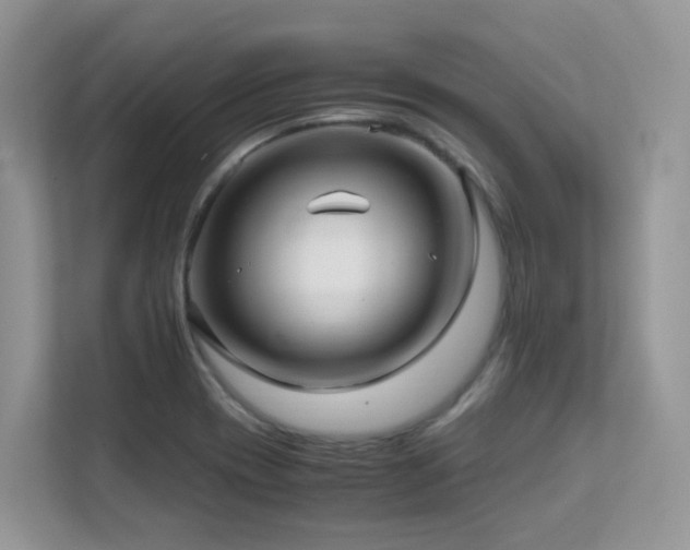 X0000112171417200908071149