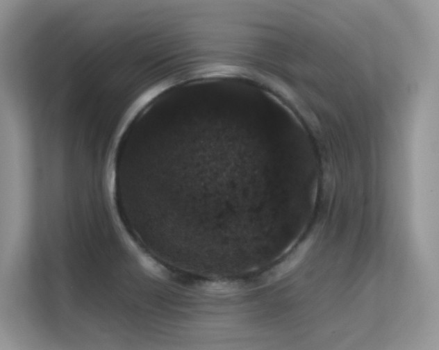 X0000112171418200908071149