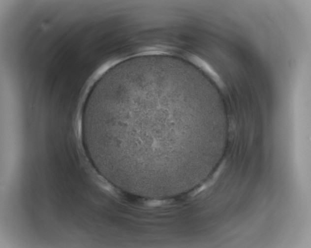 X0000112171419200908071149