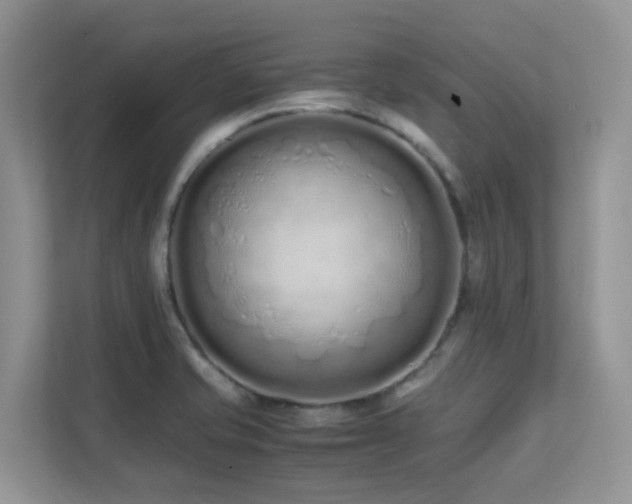 X0000112171421200908071149