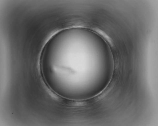 X0000112171423200908071149