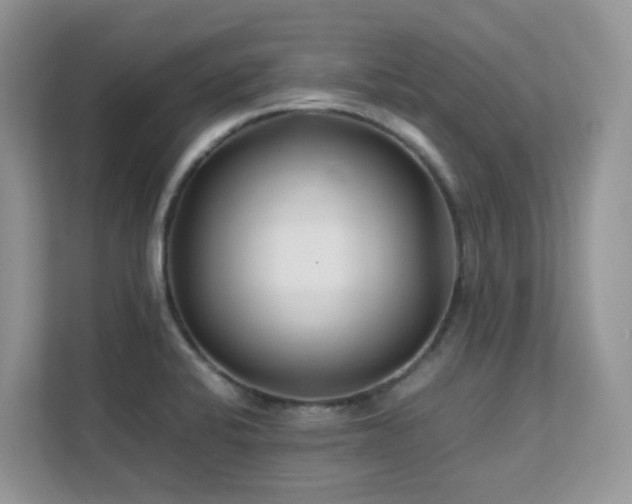 X0000112171424200908071149