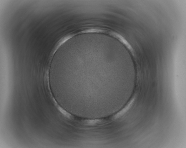 X0000112171425200908071149