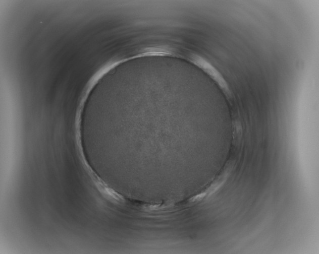 X0000112171427200908071149