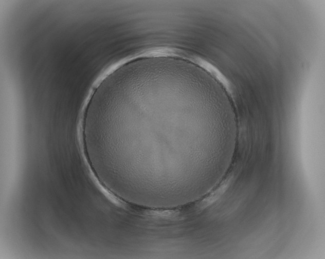 X0000112171429200908071149