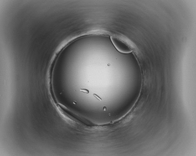 X0000112171430200908071149