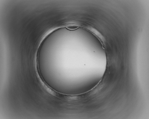 X0000112171431200908071149