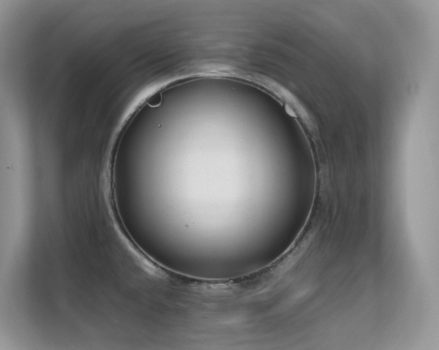 X0000112171432200908071149