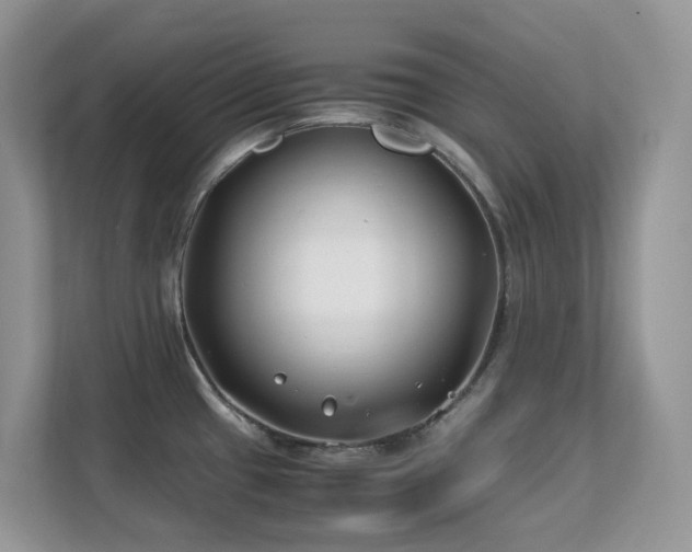 X0000112171433200908071149