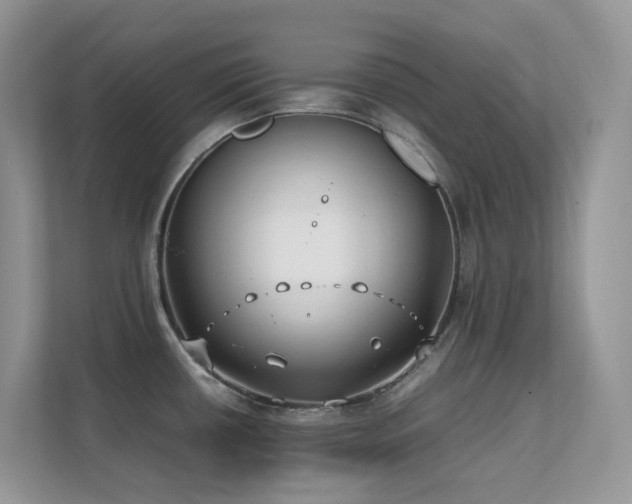 X0000112171434200908071149