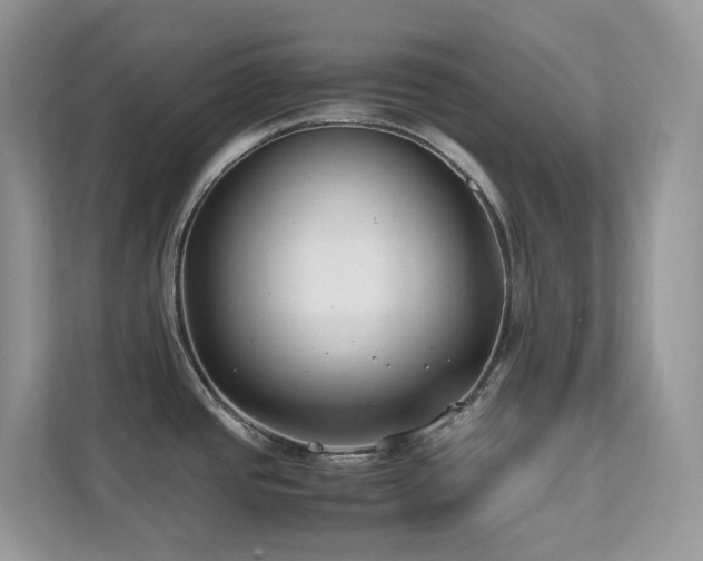 X0000112171437200908071149