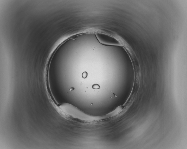 X0000112171438200908071149