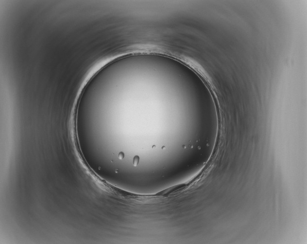 X0000112171440200908071149