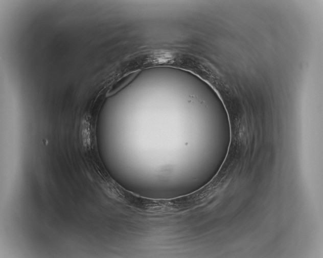 X0000112171442200908071149