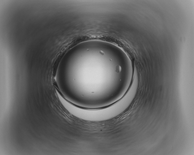 X0000112171444200908071149